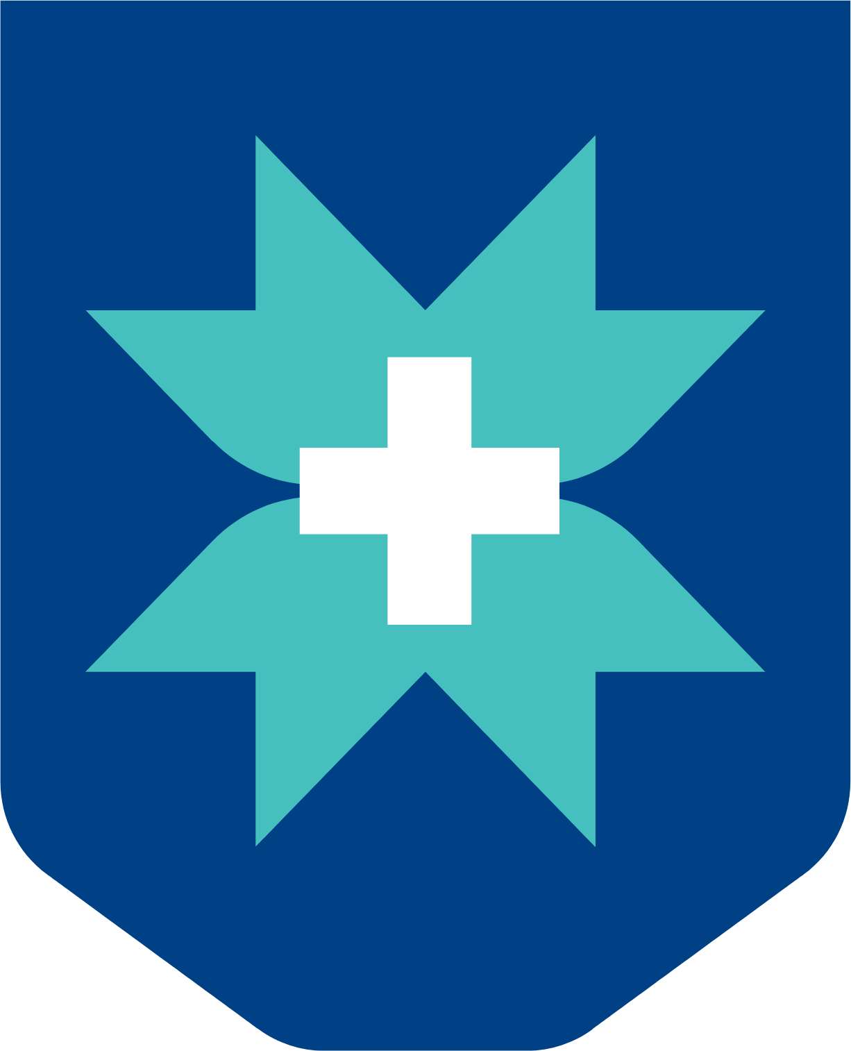 Max healthcare